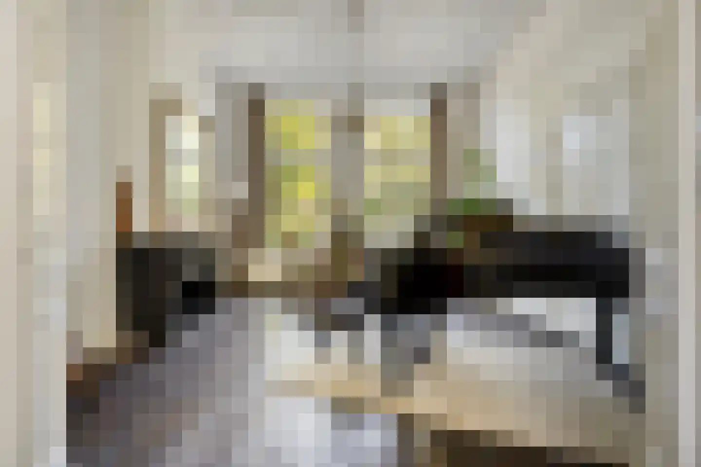 Haagweg 20 Leiden thumbnail 16