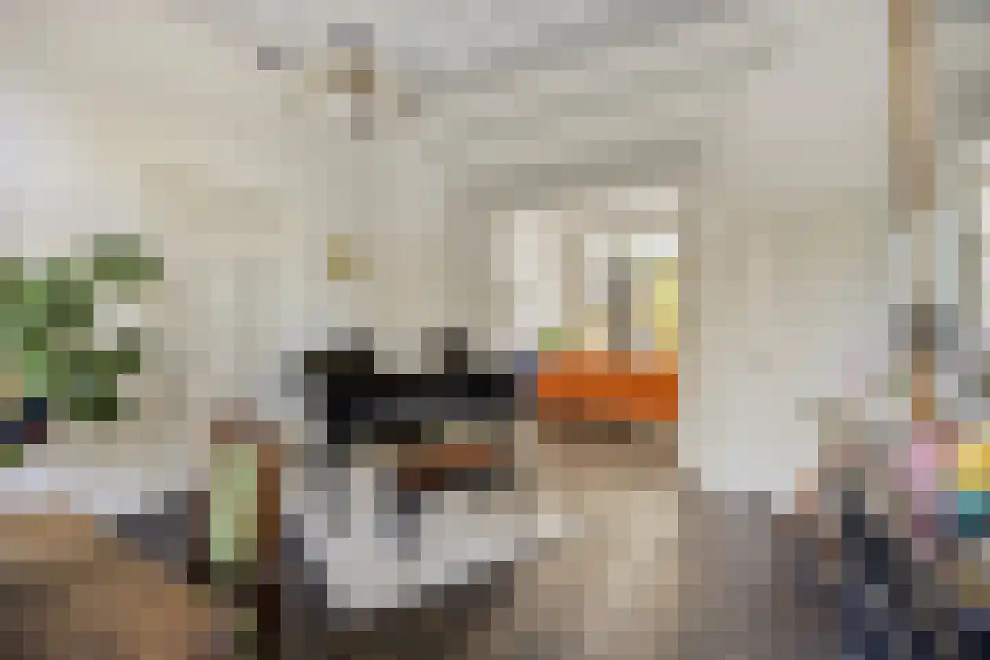 Haagweg 20 Leiden thumbnail 18
