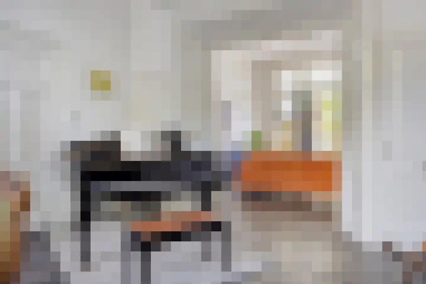 Haagweg 20 Leiden thumbnail 29