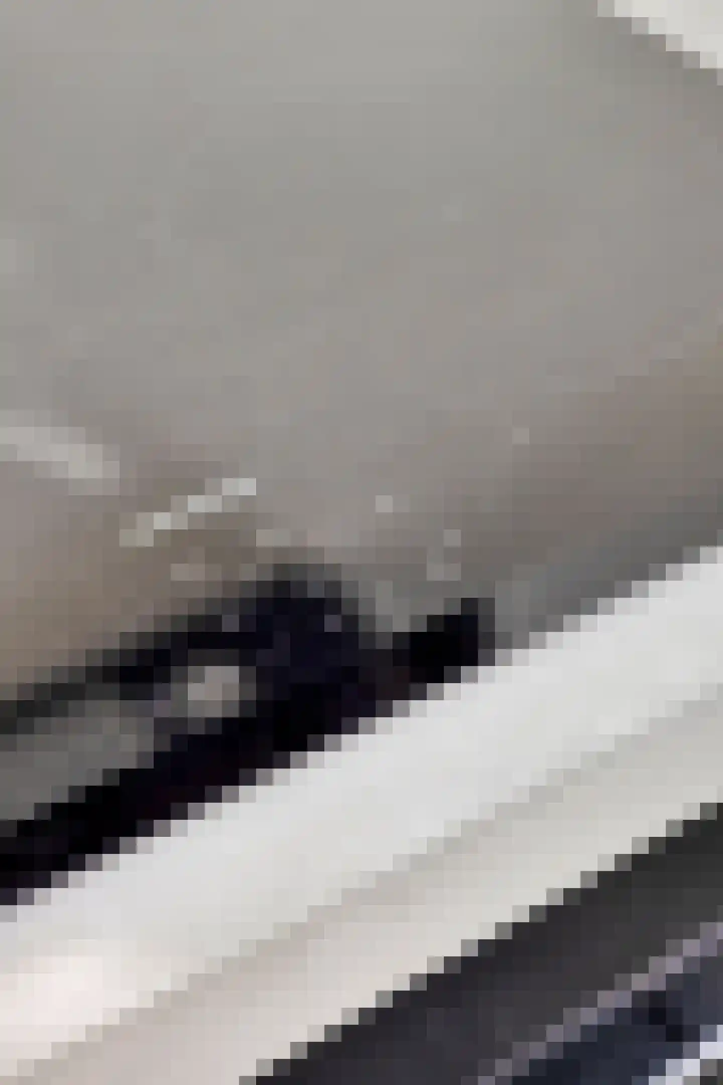 Haagweg 20 Leiden thumbnail 36