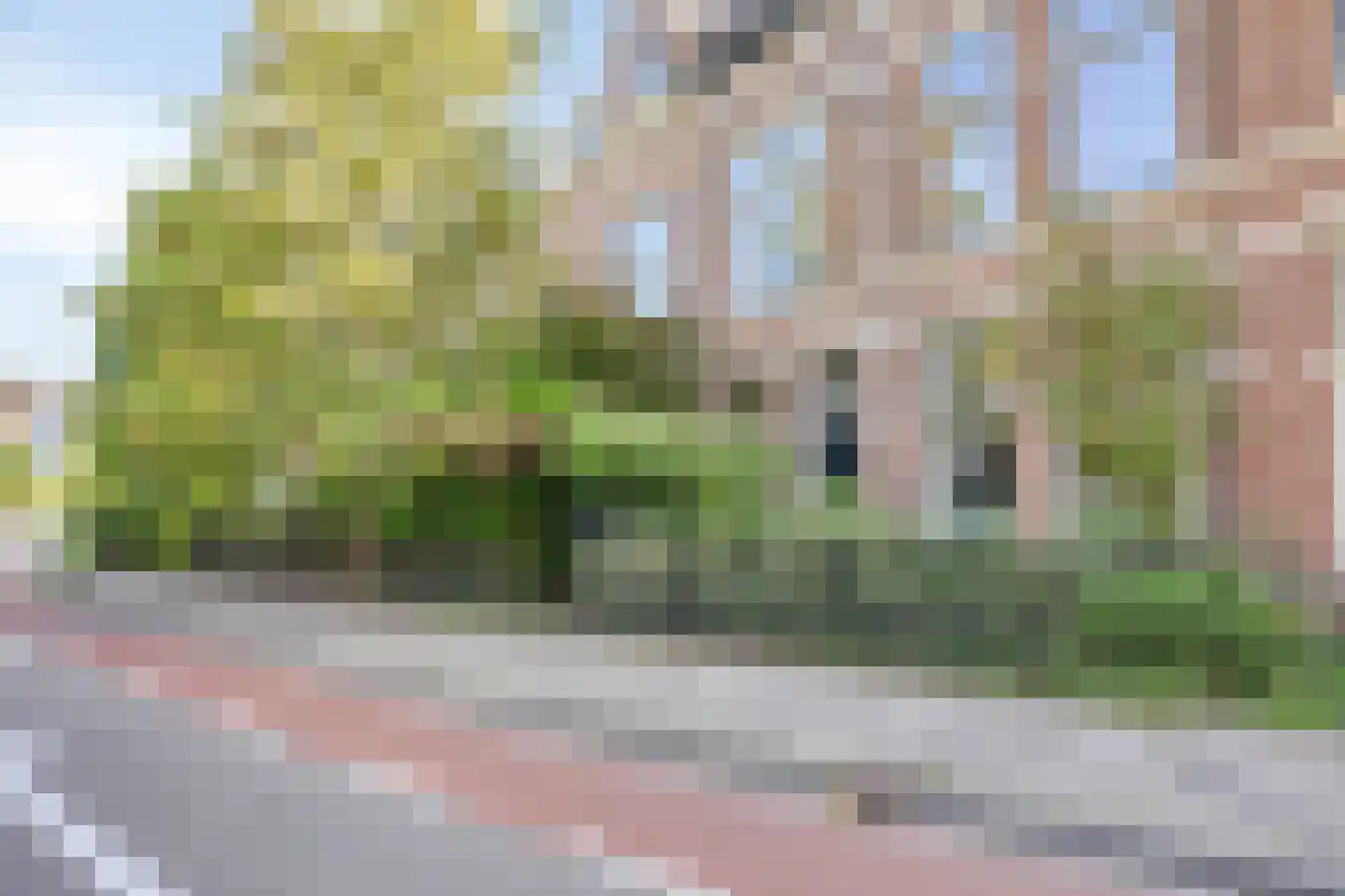 Haagweg 20 Leiden thumbnail 4