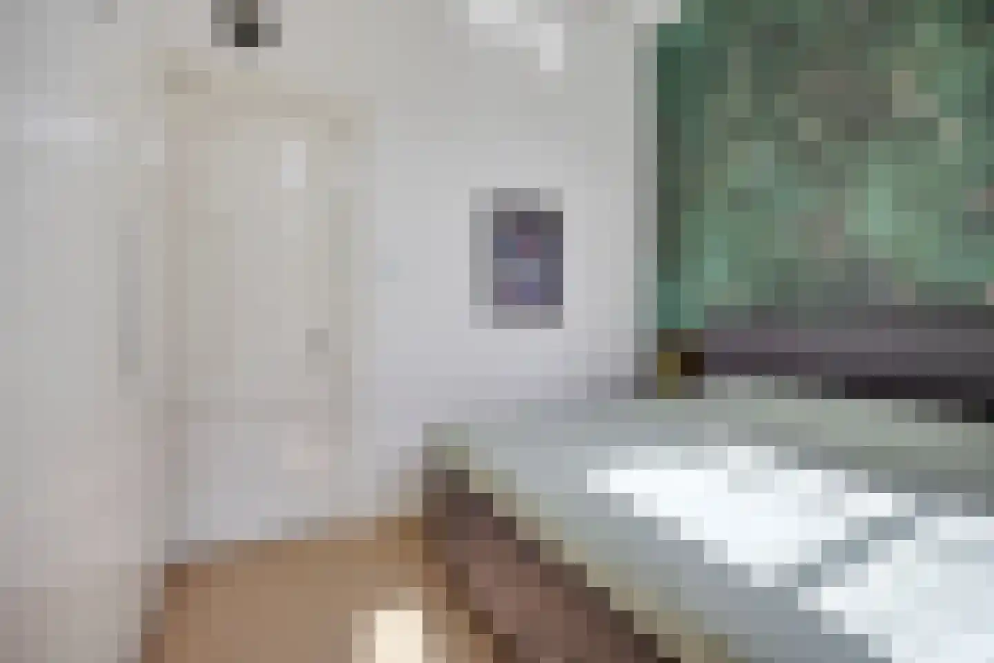 Haagweg 20 Leiden thumbnail 41