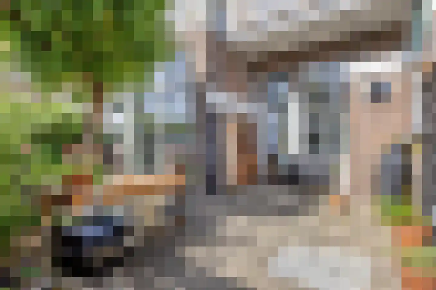 Haagweg 20 Leiden thumbnail 51