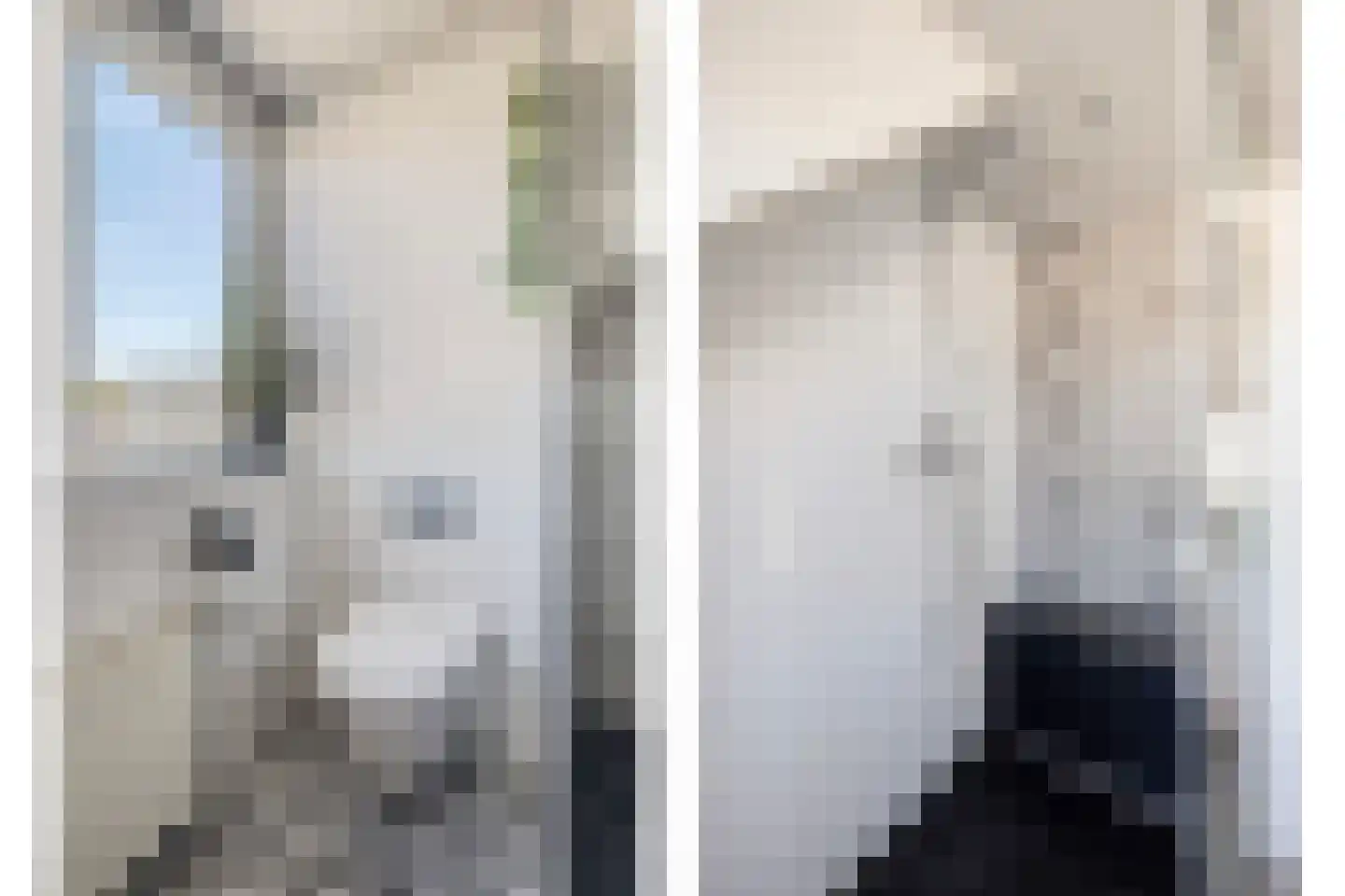 Haagweg 204 Breda thumbnail 27
