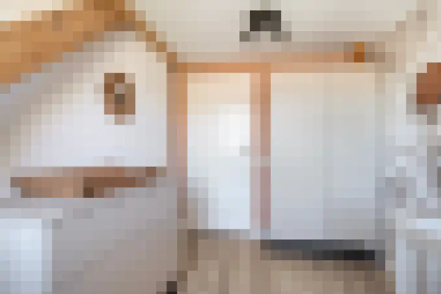 Haagweg 204 Breda thumbnail 31