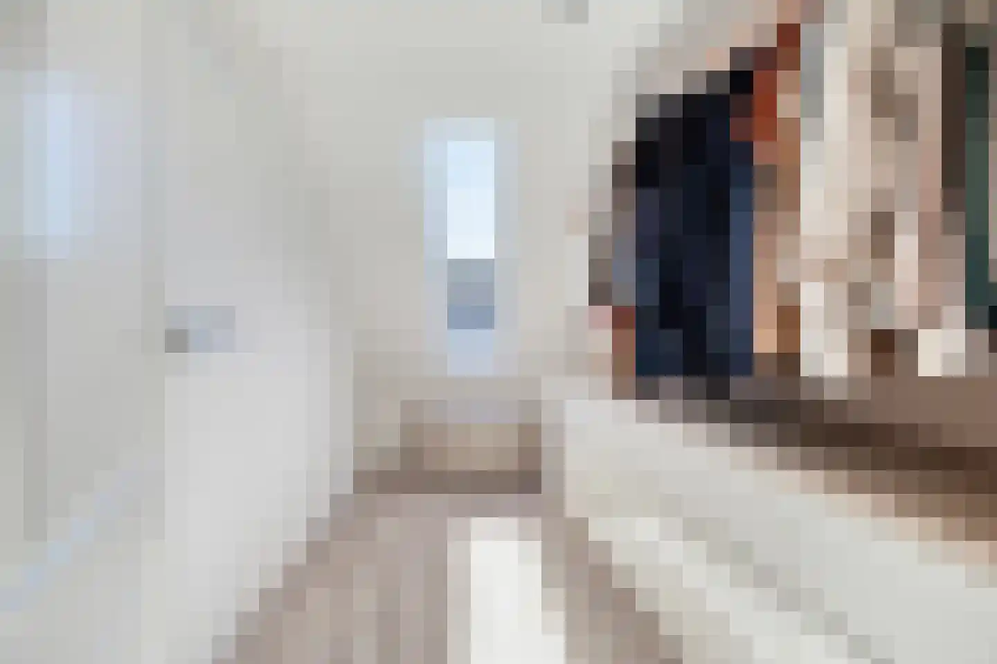 Haagweg 204 Breda thumbnail 32