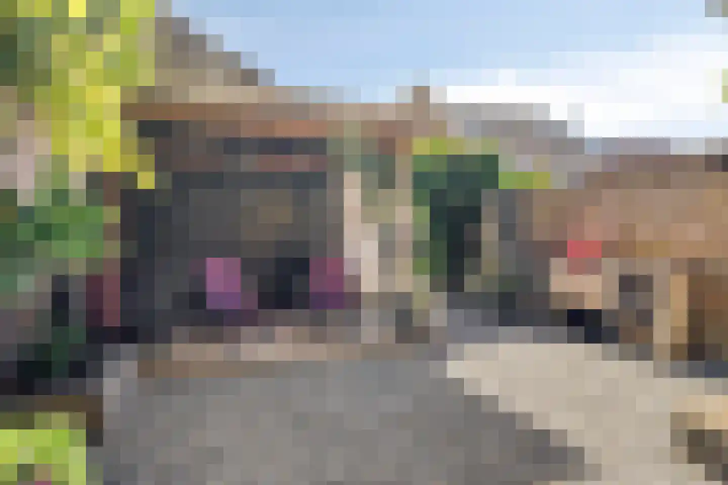 Haagweg 204 Breda thumbnail 37