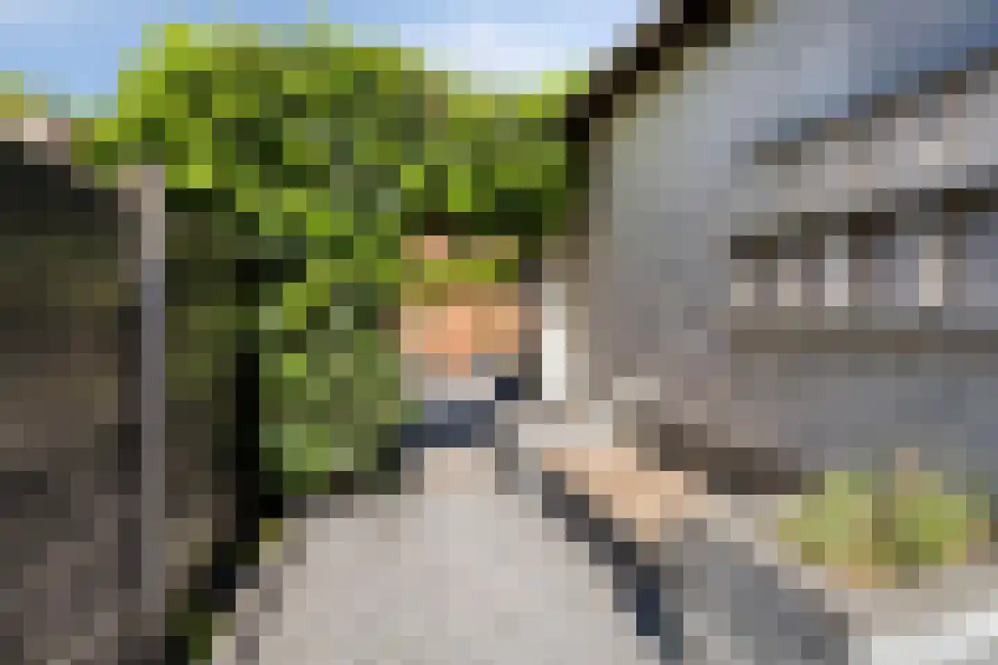 Haagweg 204 Breda thumbnail 39