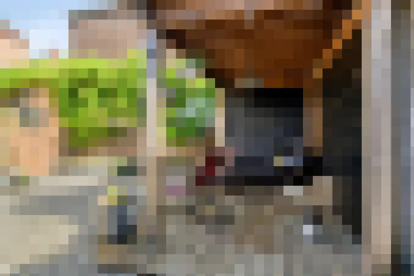 Haagweg 204 Breda thumbnail 42