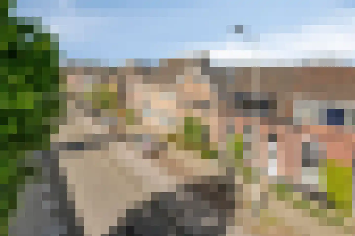 Haagweg 204 Breda thumbnail 45