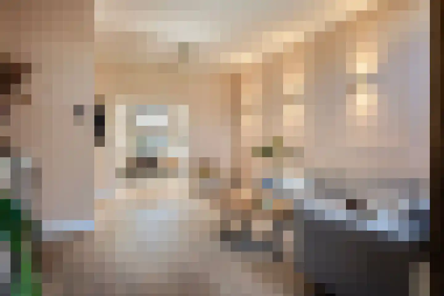 Haagweg 204 Breda thumbnail 7