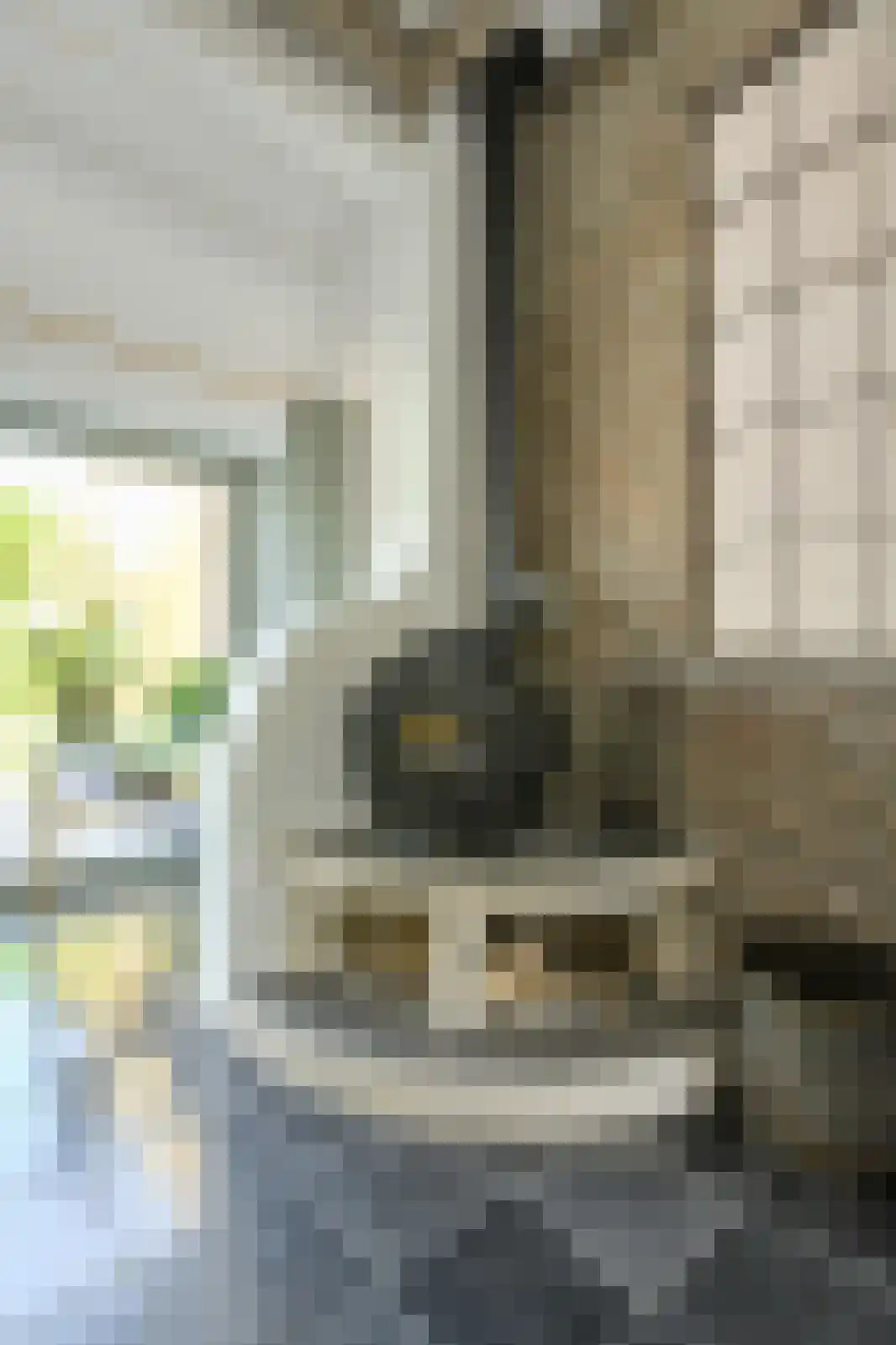 Haagweg 214 A Breda thumbnail 11
