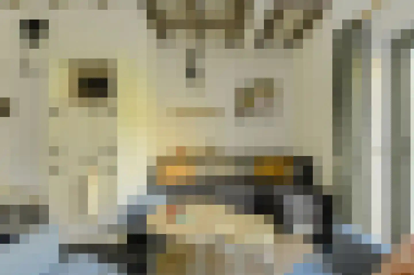 Haagweg 214 A Breda thumbnail 13
