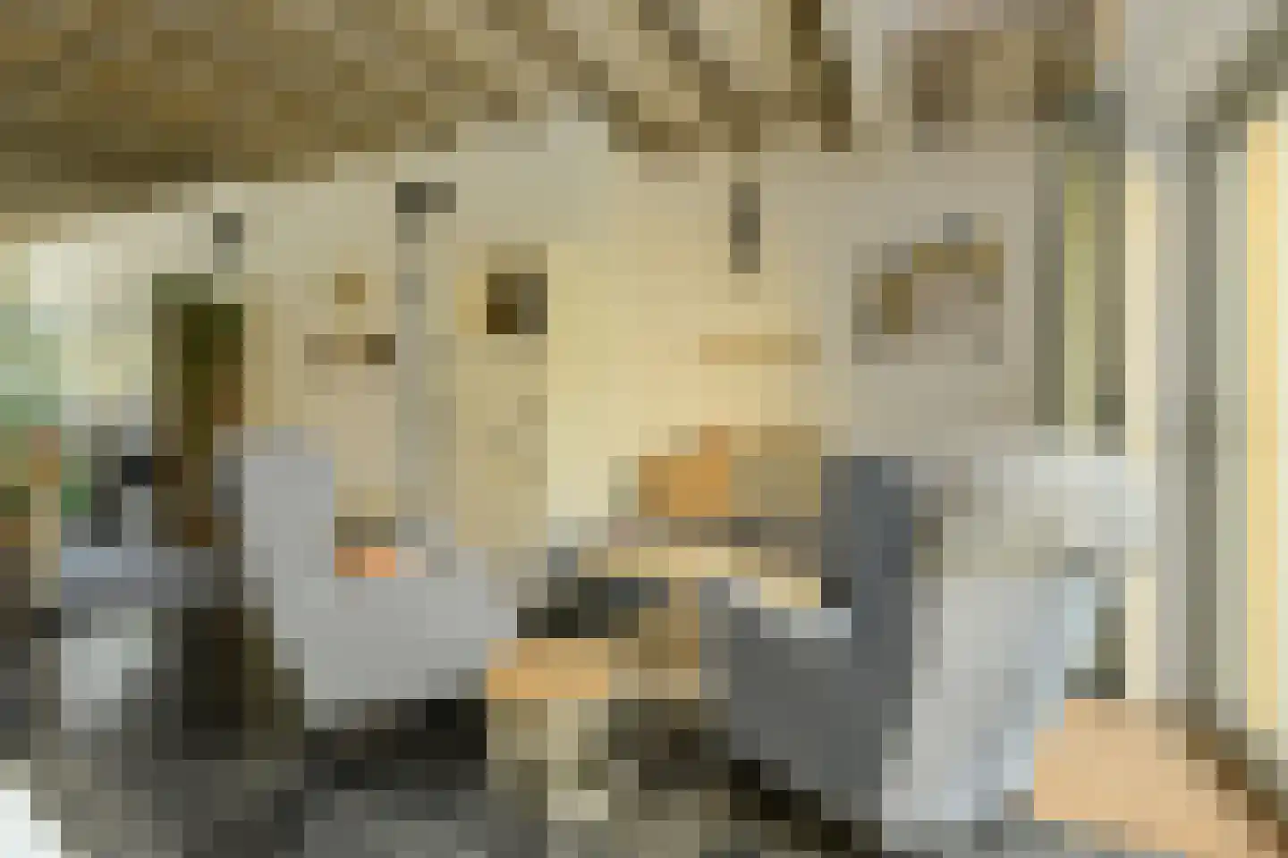Haagweg 214 A Breda thumbnail 15