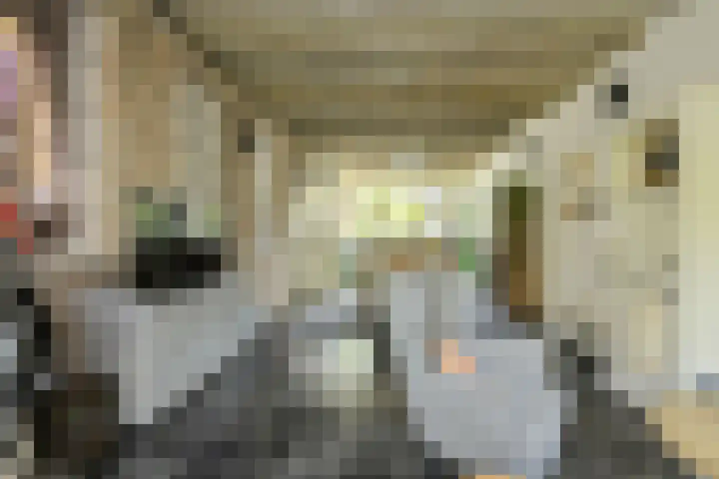 Haagweg 214 A Breda thumbnail 16