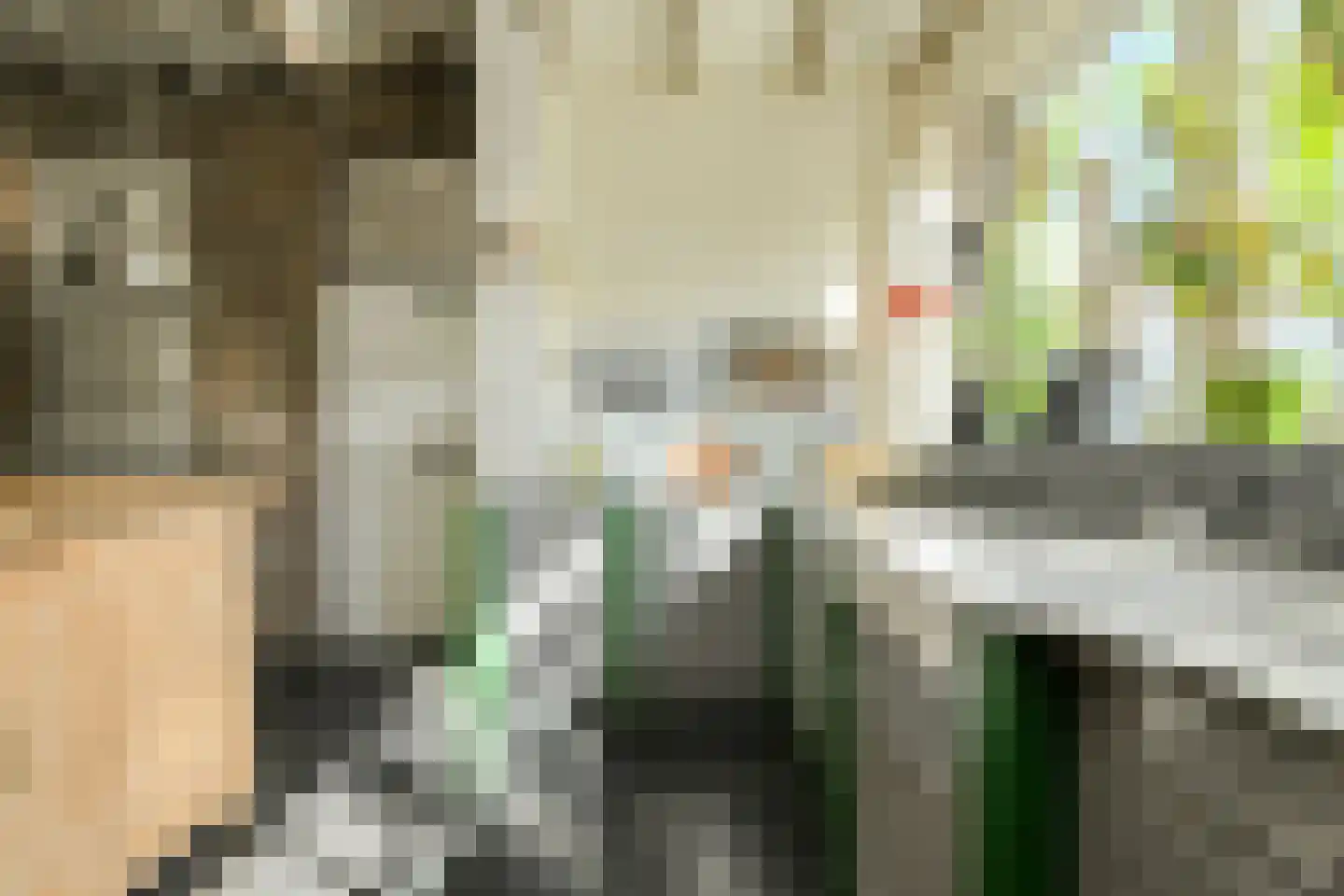 Haagweg 214 A Breda thumbnail 22