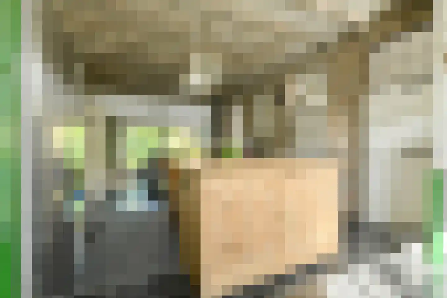 Haagweg 214 A Breda thumbnail 23