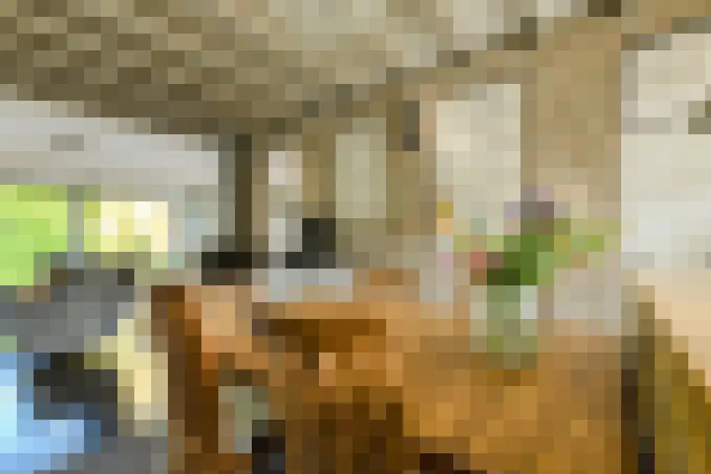 Haagweg 214 A Breda thumbnail 24