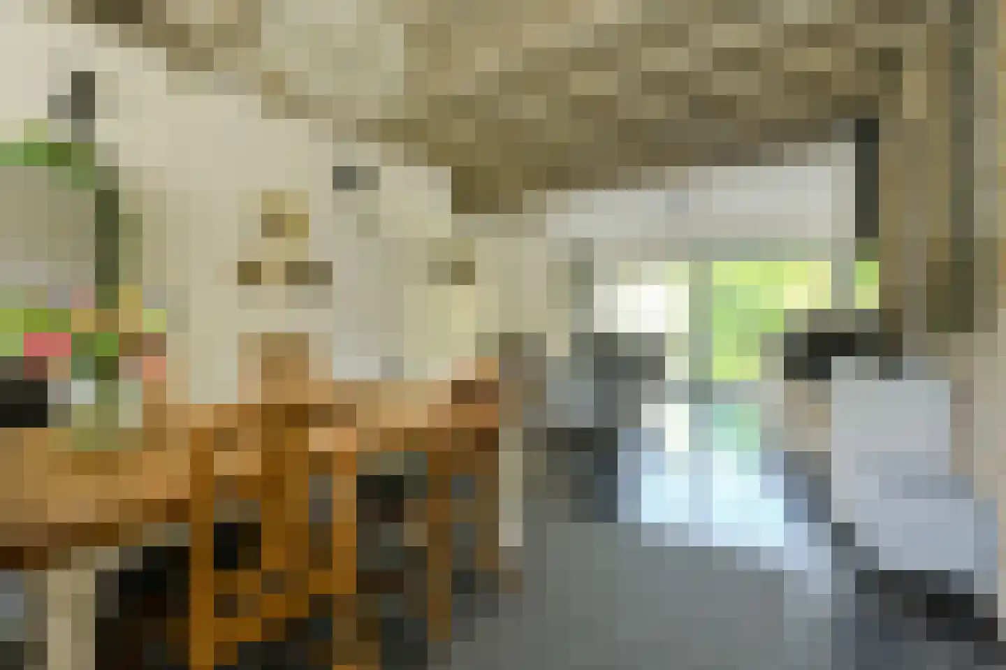 Haagweg 214 A Breda thumbnail 25