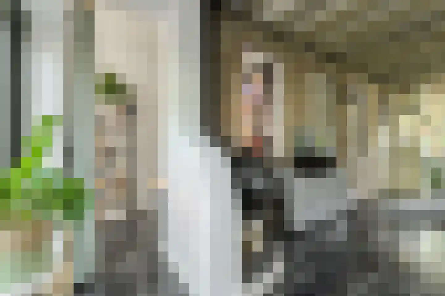 Haagweg 214 A Breda thumbnail 26