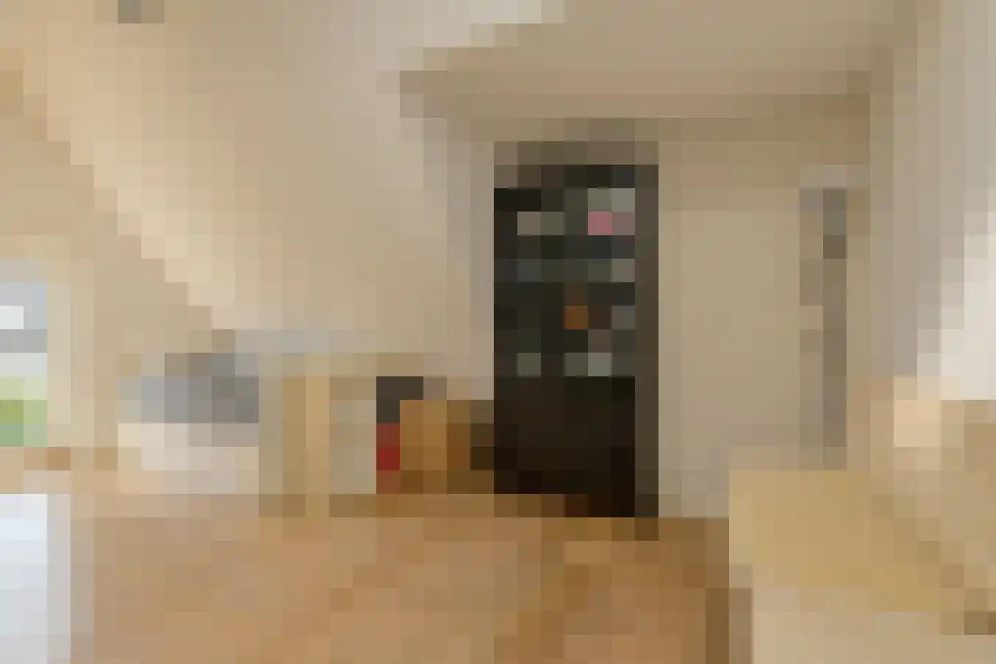 Haagweg 214 A Breda thumbnail 48