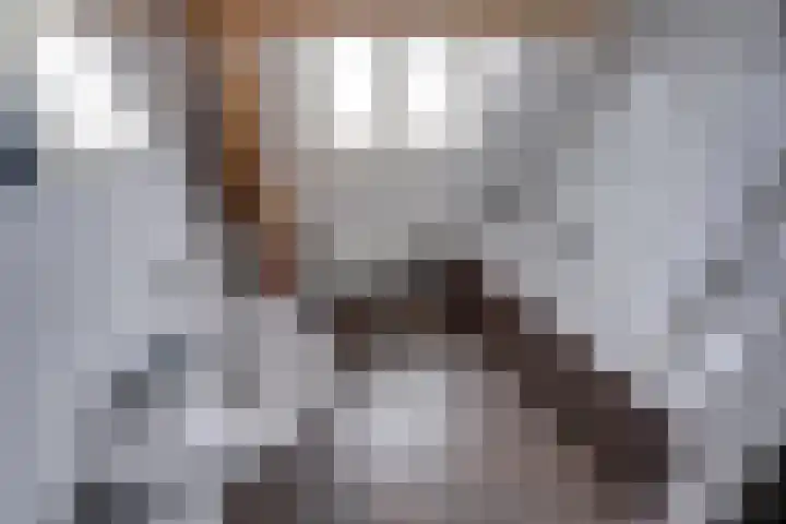Haagweg 219 Breda thumbnail 31