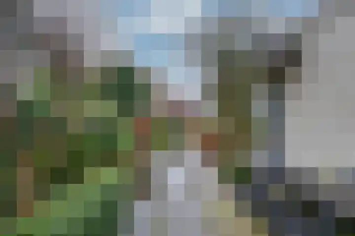 Haagweg 219 Breda thumbnail 34