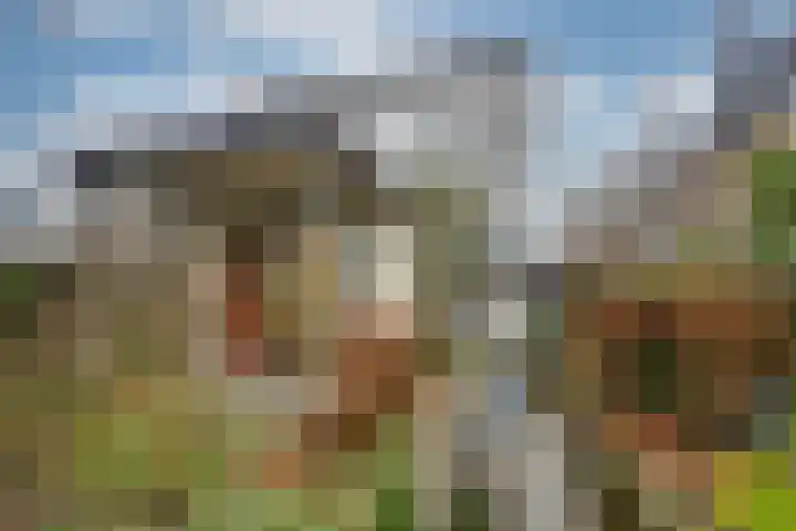 Haagweg 219 Breda thumbnail 36