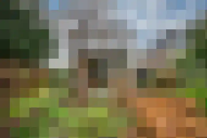 Haagweg 219 Breda thumbnail 37