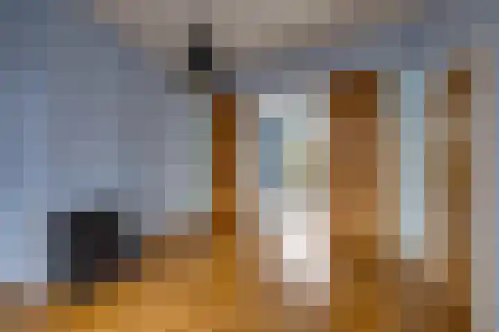 Haagweg 219 Breda thumbnail 5