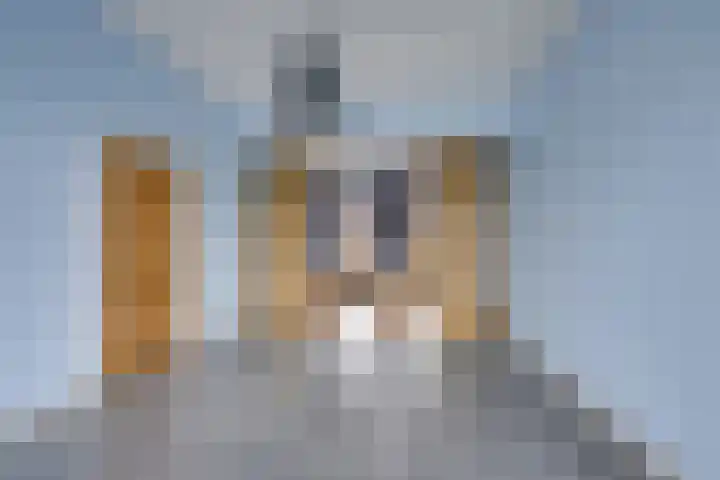 Haagweg 219 Breda thumbnail 7