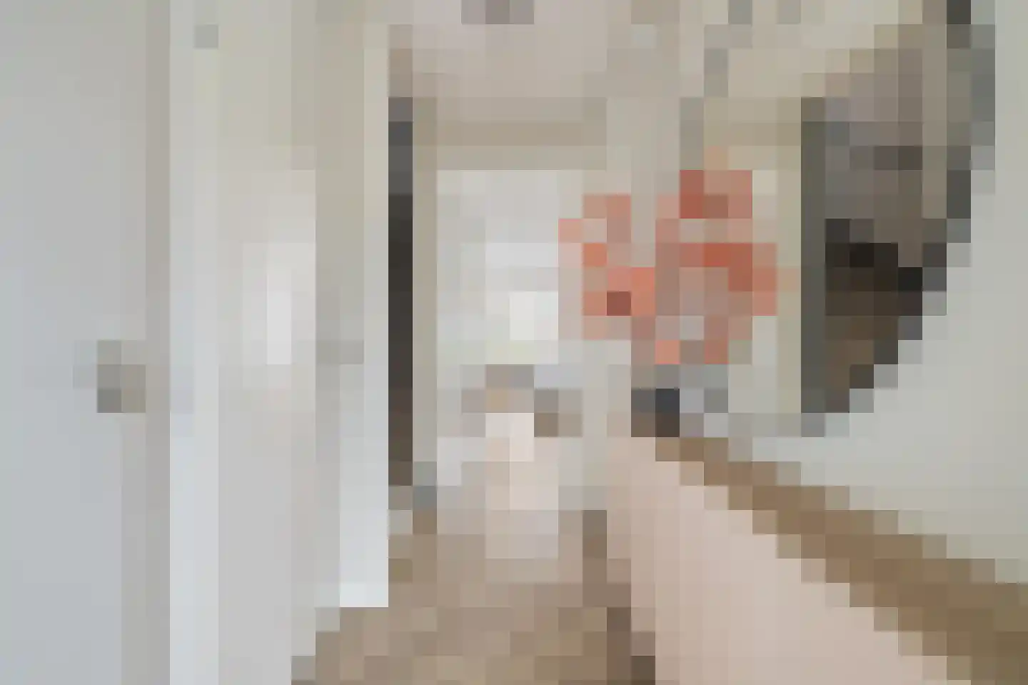 Haagweg 234 Breda thumbnail 17