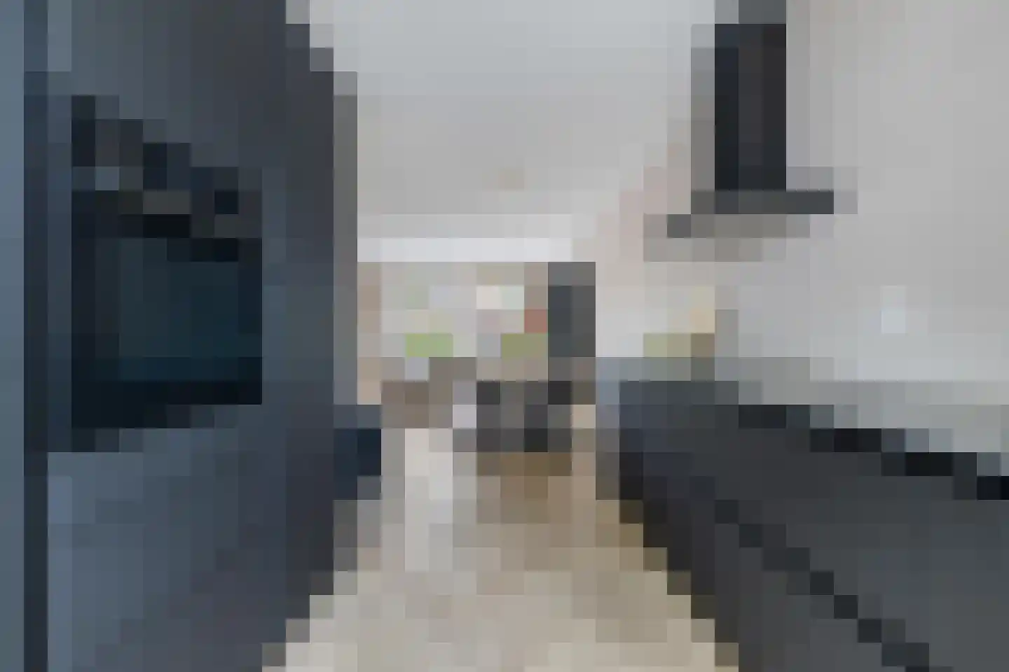 Haagweg 234 Breda thumbnail 31