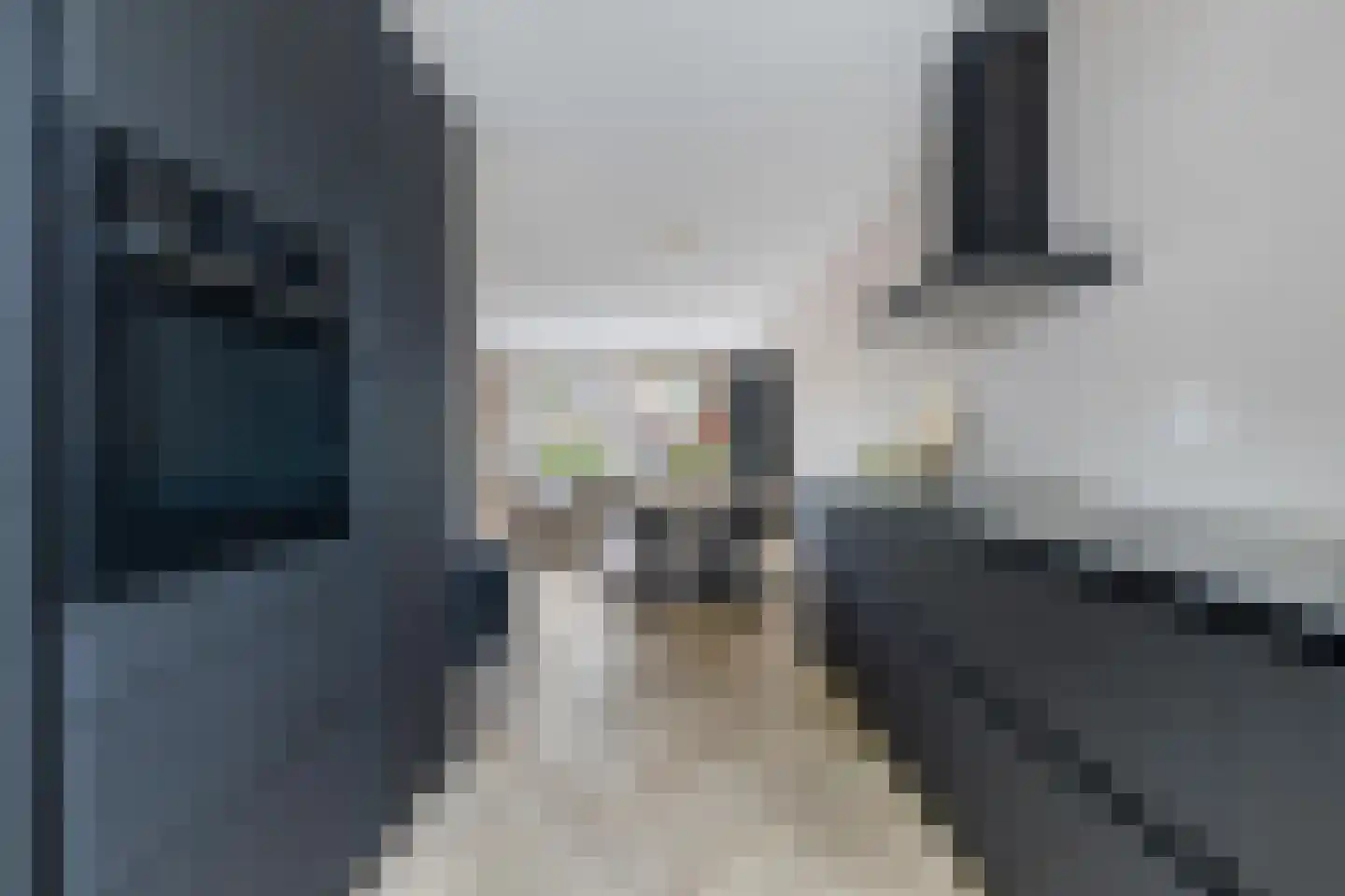 Haagweg 234 Breda thumbnail 4
