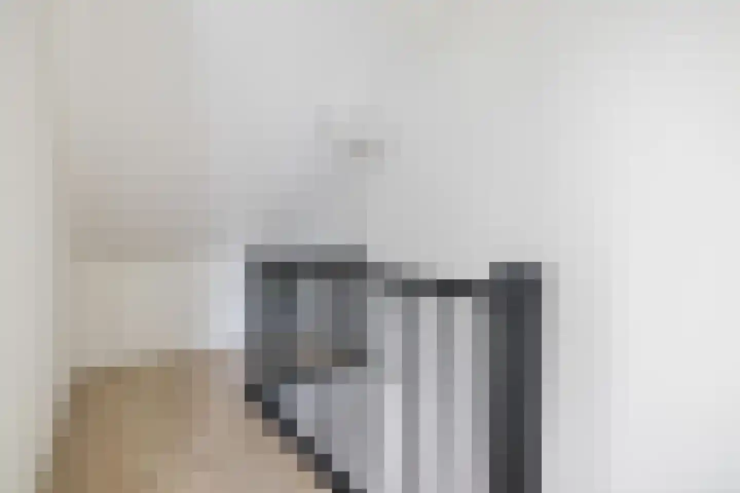 Haagweg 234 Breda thumbnail 48
