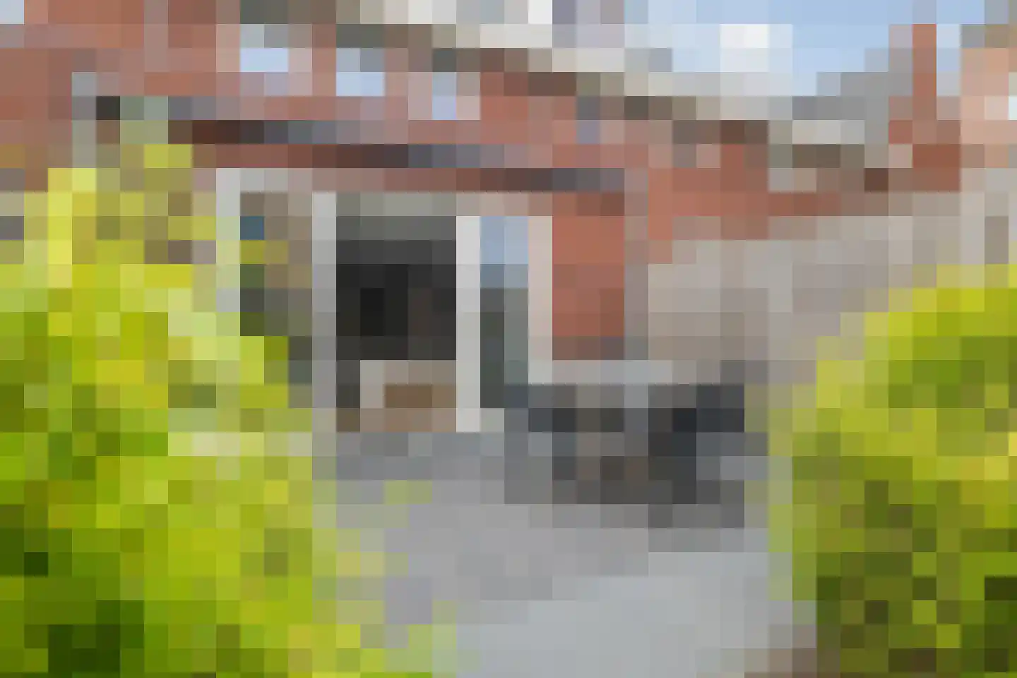 Haagweg 234 Breda thumbnail 56