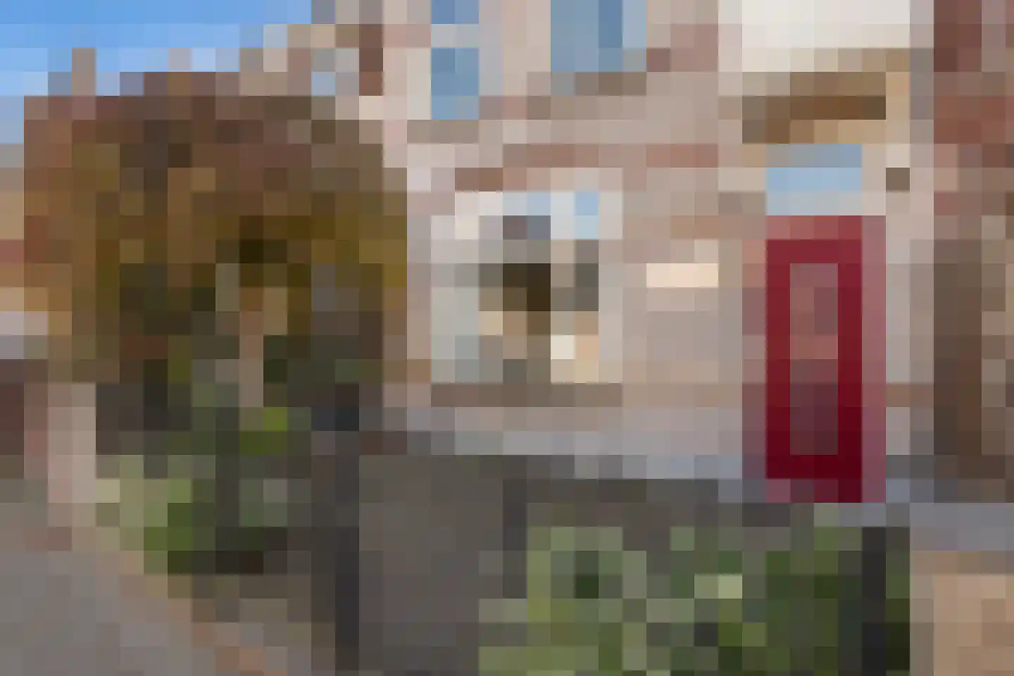 Haagweg 237 Breda thumbnail 31