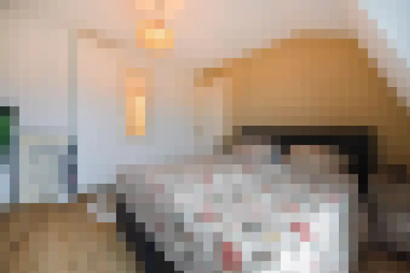 Haagweg 24 Rijswijk thumbnail 22