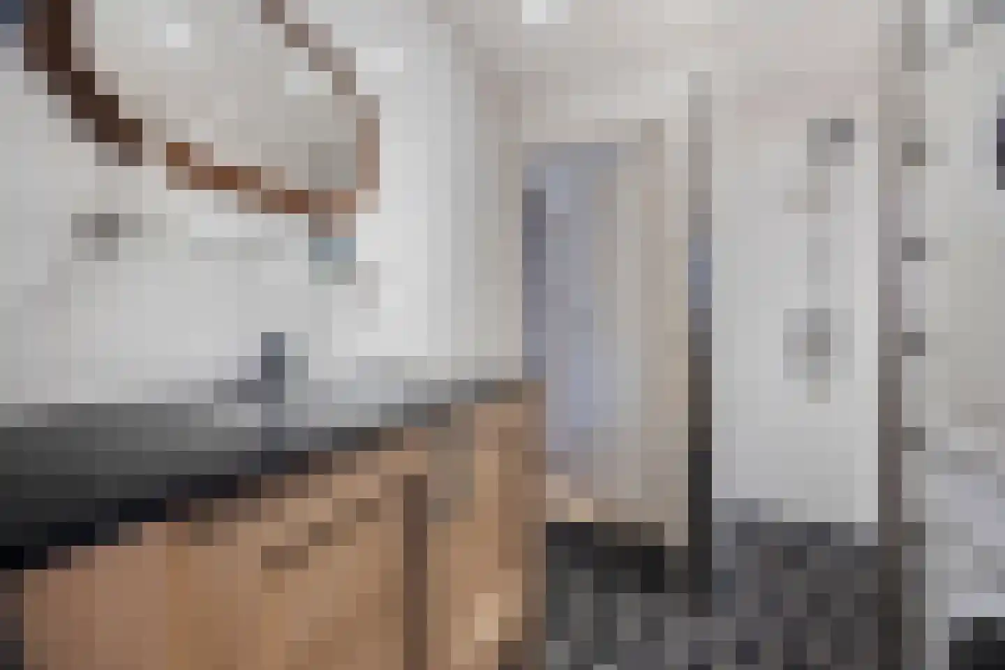Haagweg 24 Rijswijk thumbnail 28