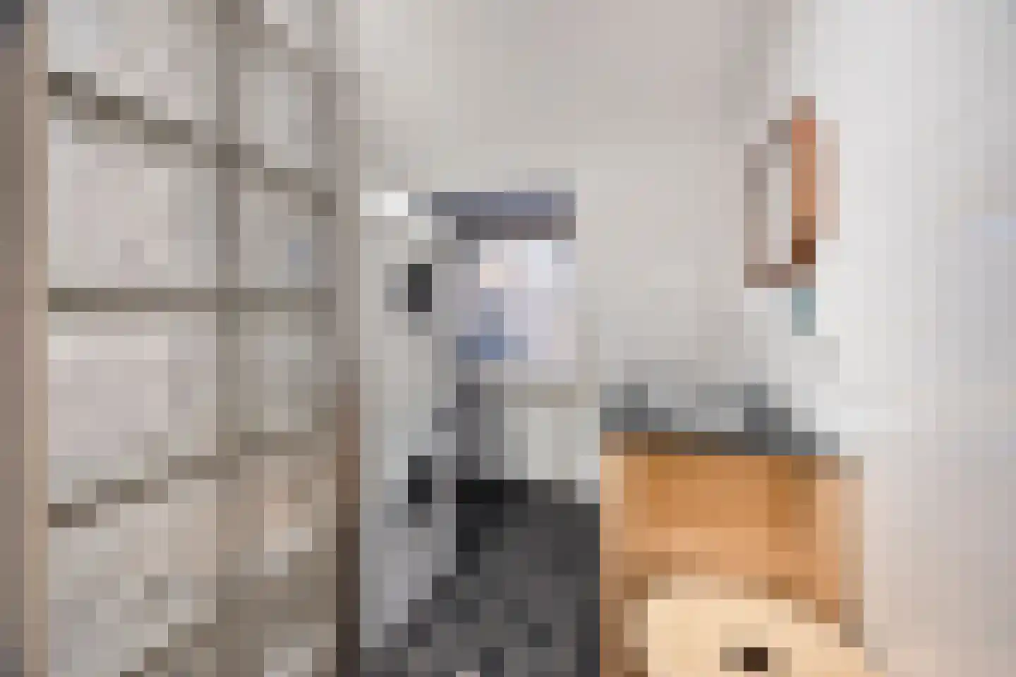 Haagweg 24 Rijswijk thumbnail 29