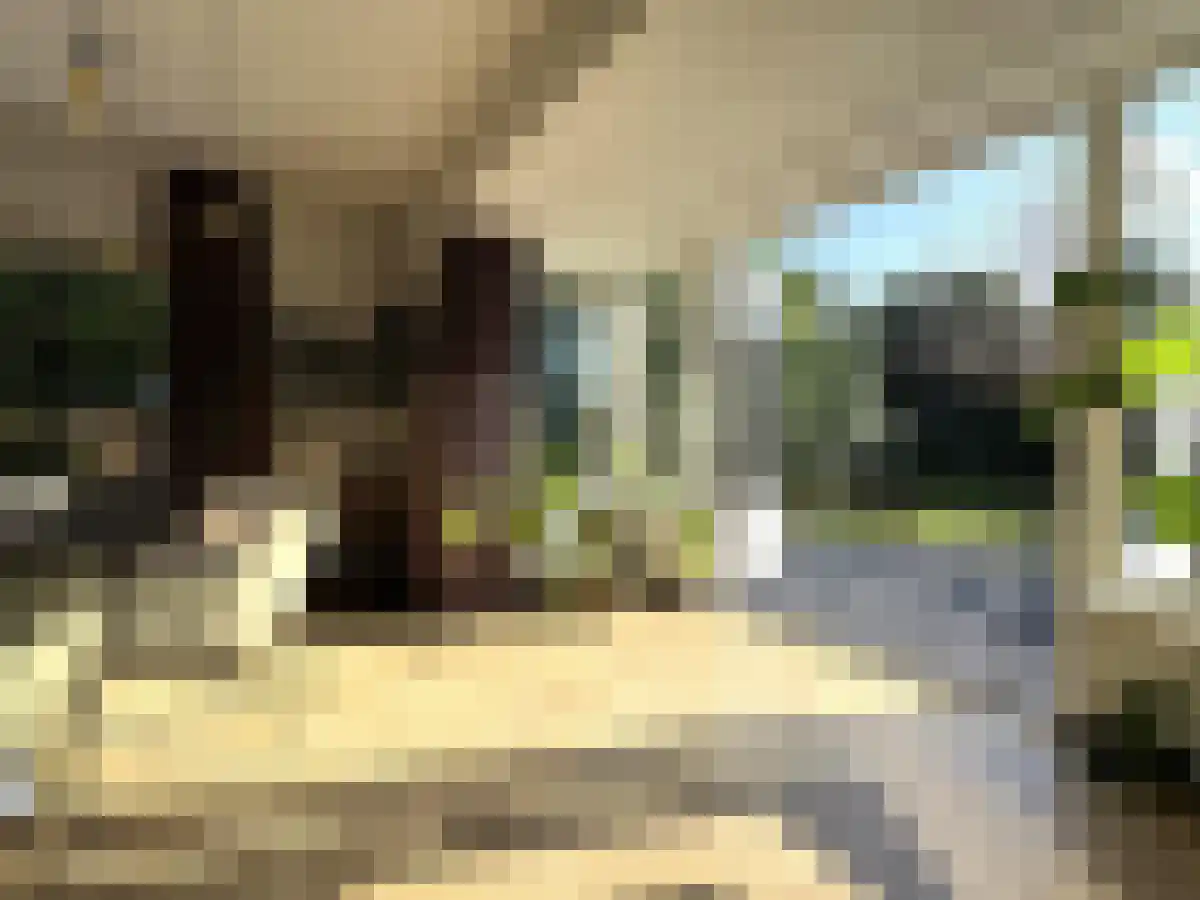 Haagweg 263 Breda thumbnail 5