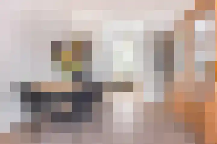 Haagweg 264 Breda thumbnail 11