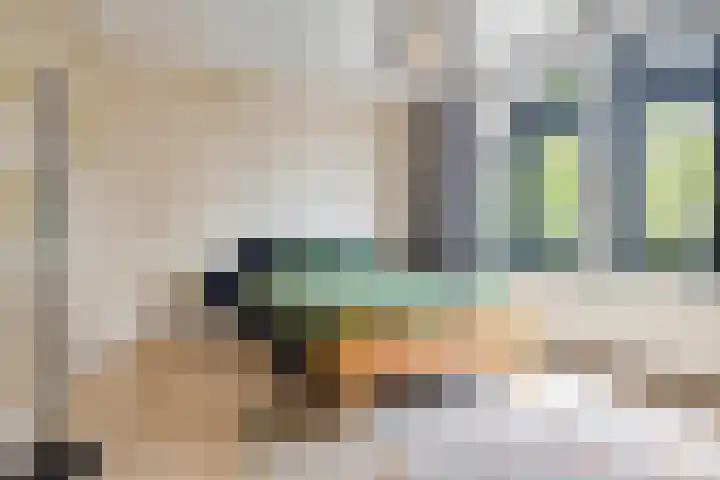 Haagweg 264 Breda thumbnail 17
