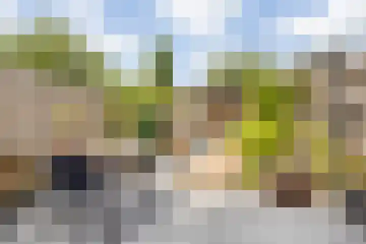 Haagweg 264 Breda thumbnail 27