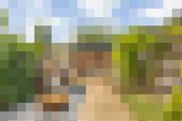 Haagweg 264 Breda thumbnail 28