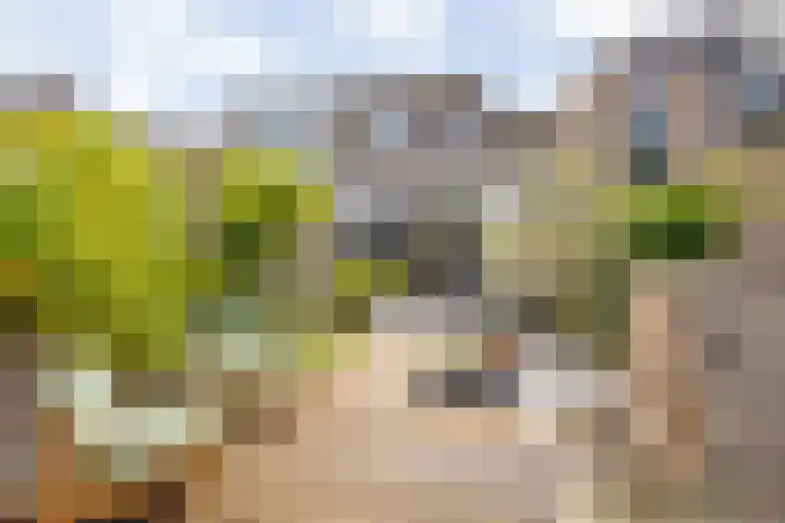 Haagweg 264 Breda thumbnail 30
