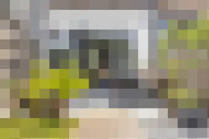 Haagweg 264 Breda thumbnail 31