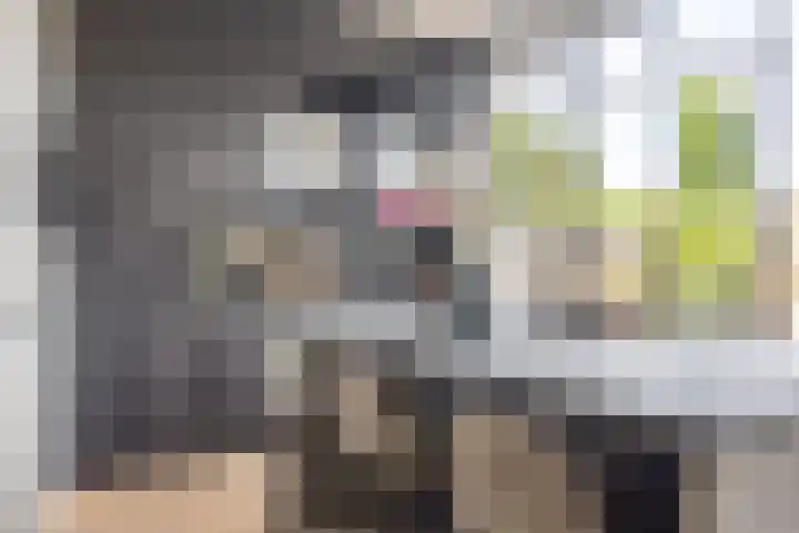 Haagweg 264 Breda thumbnail 5
