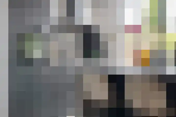 Haagweg 264 Breda thumbnail 6