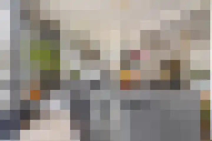 Haagweg 264 Breda thumbnail 8